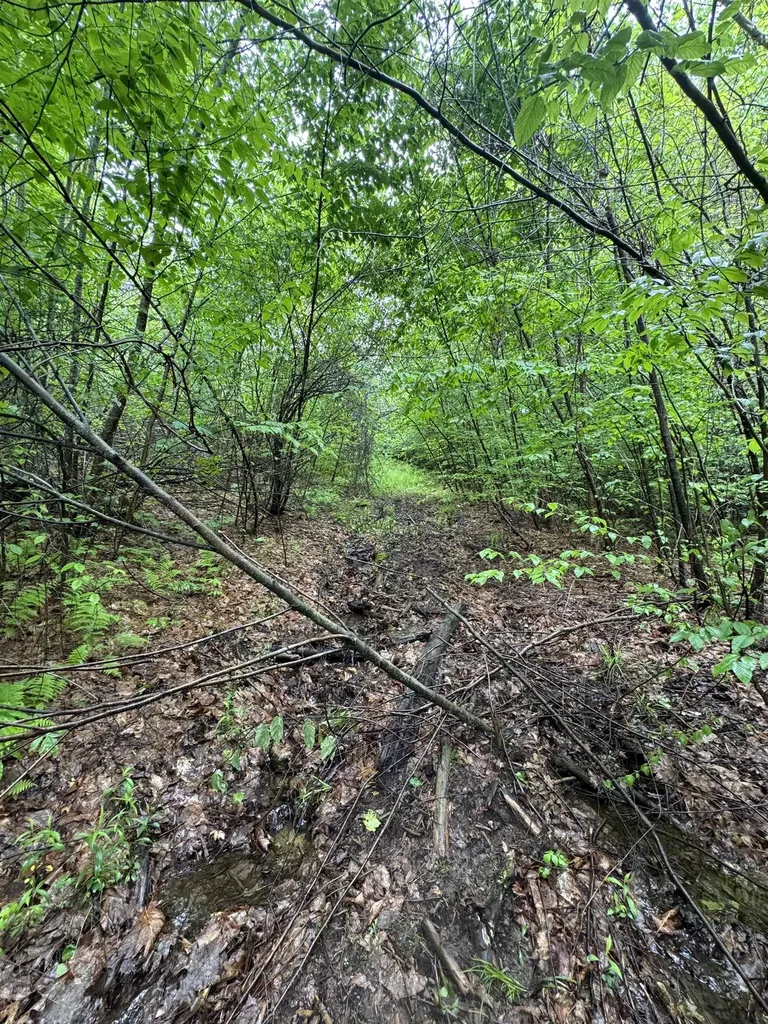 496 Old Homestead Highway Richmond NH 03470