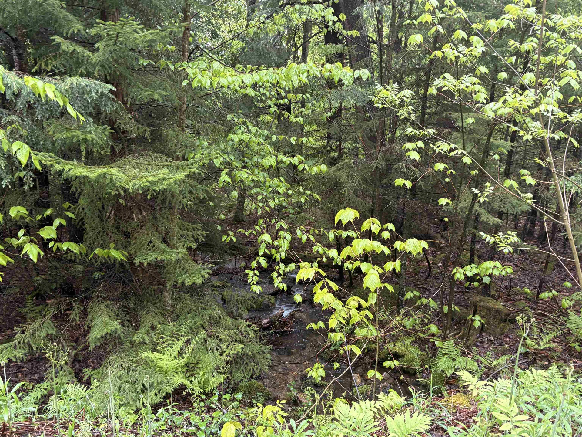 0 Bergrucken Lane Stamford VT 05352