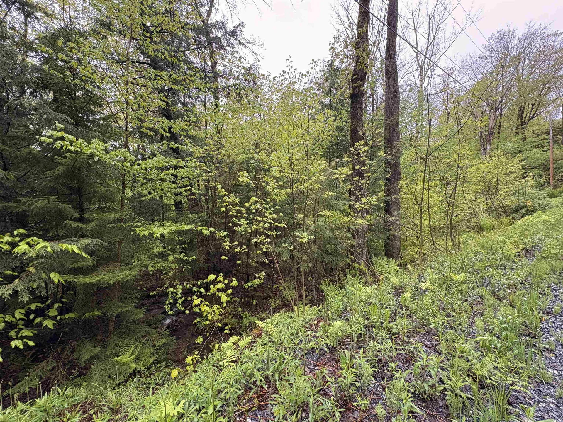 0 Bergrucken Lane Stamford VT 05352