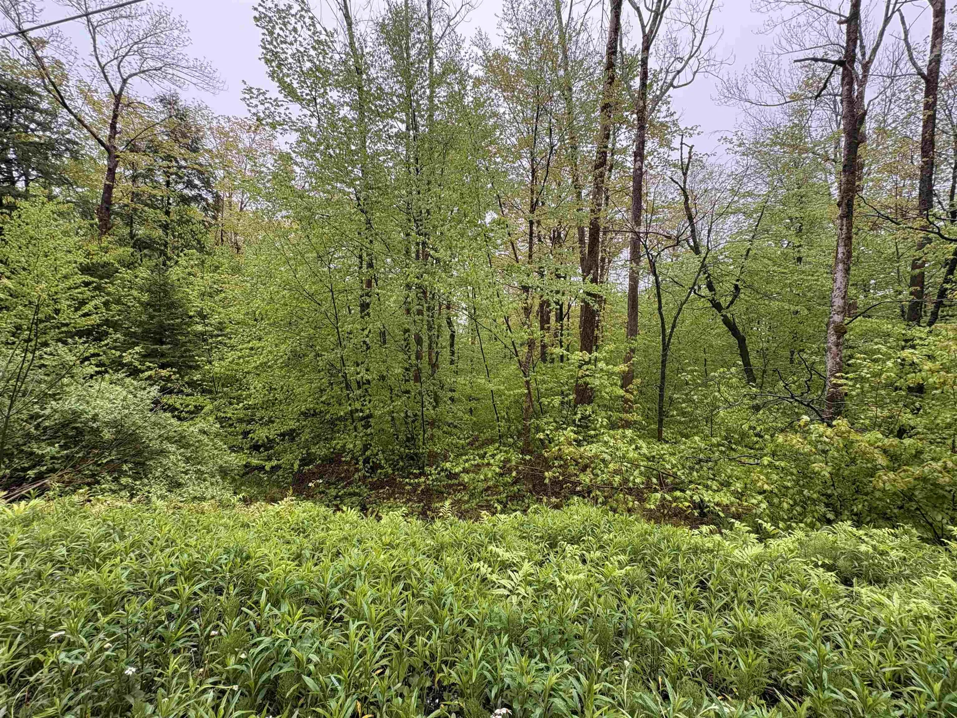 0 Bergrucken Lane Stamford VT 05352