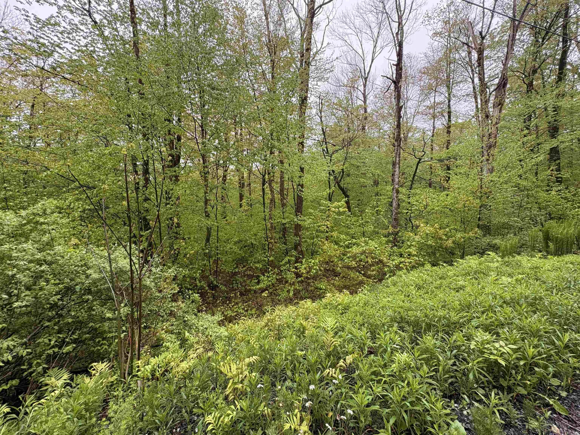 0 Bergrucken Lane Stamford VT 05352