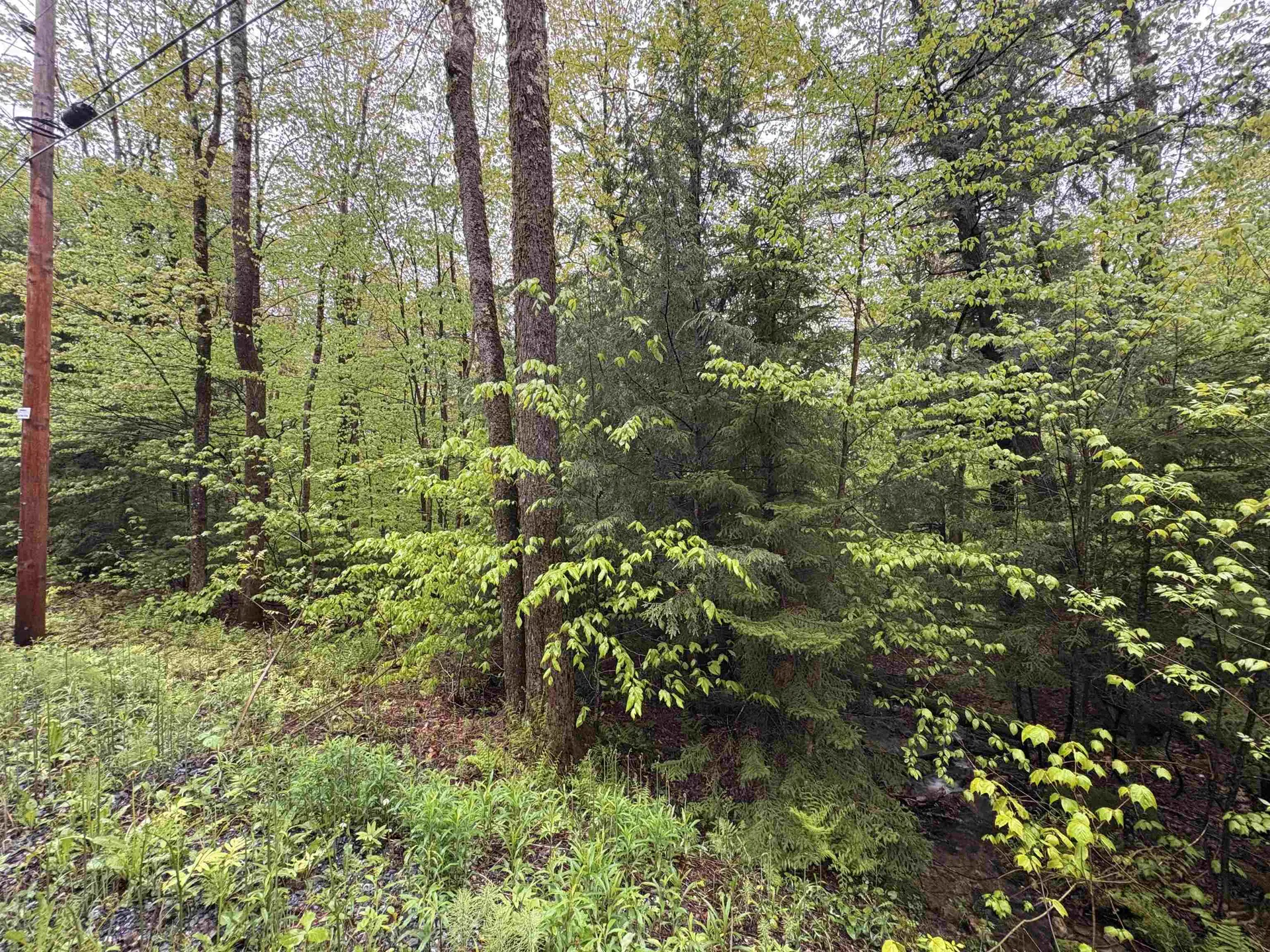 0 Bergrucken Lane Stamford VT 05352