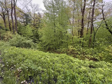 0 Bergrucken Lane Stamford VT 05352