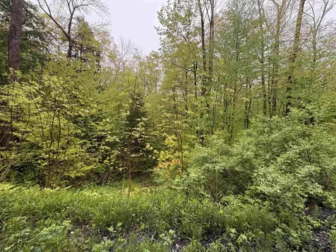 0 Bergrucken Lane Stamford VT 05352