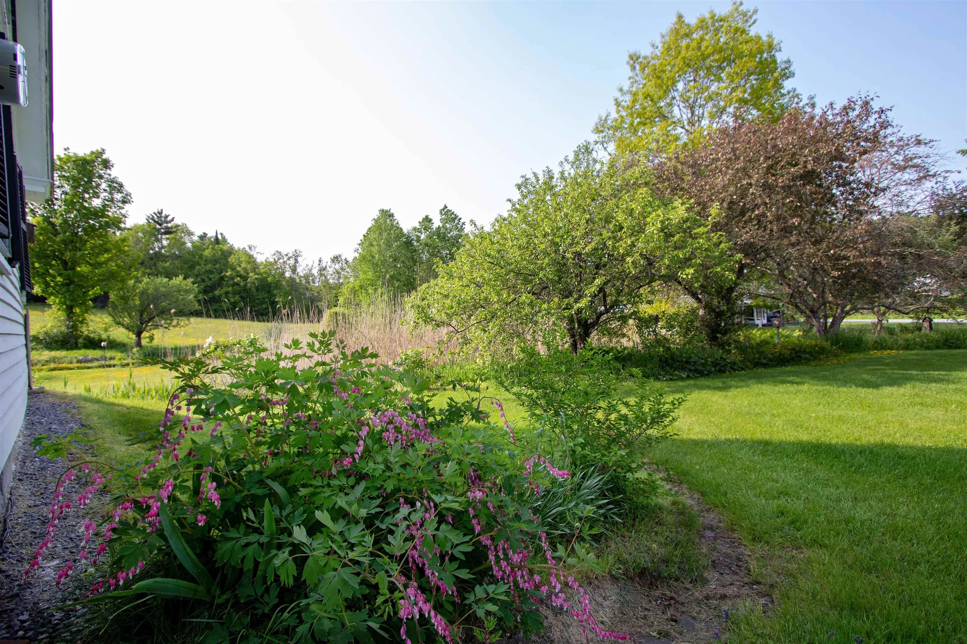 827 Old Cemetery Road Peacham VT 05862
