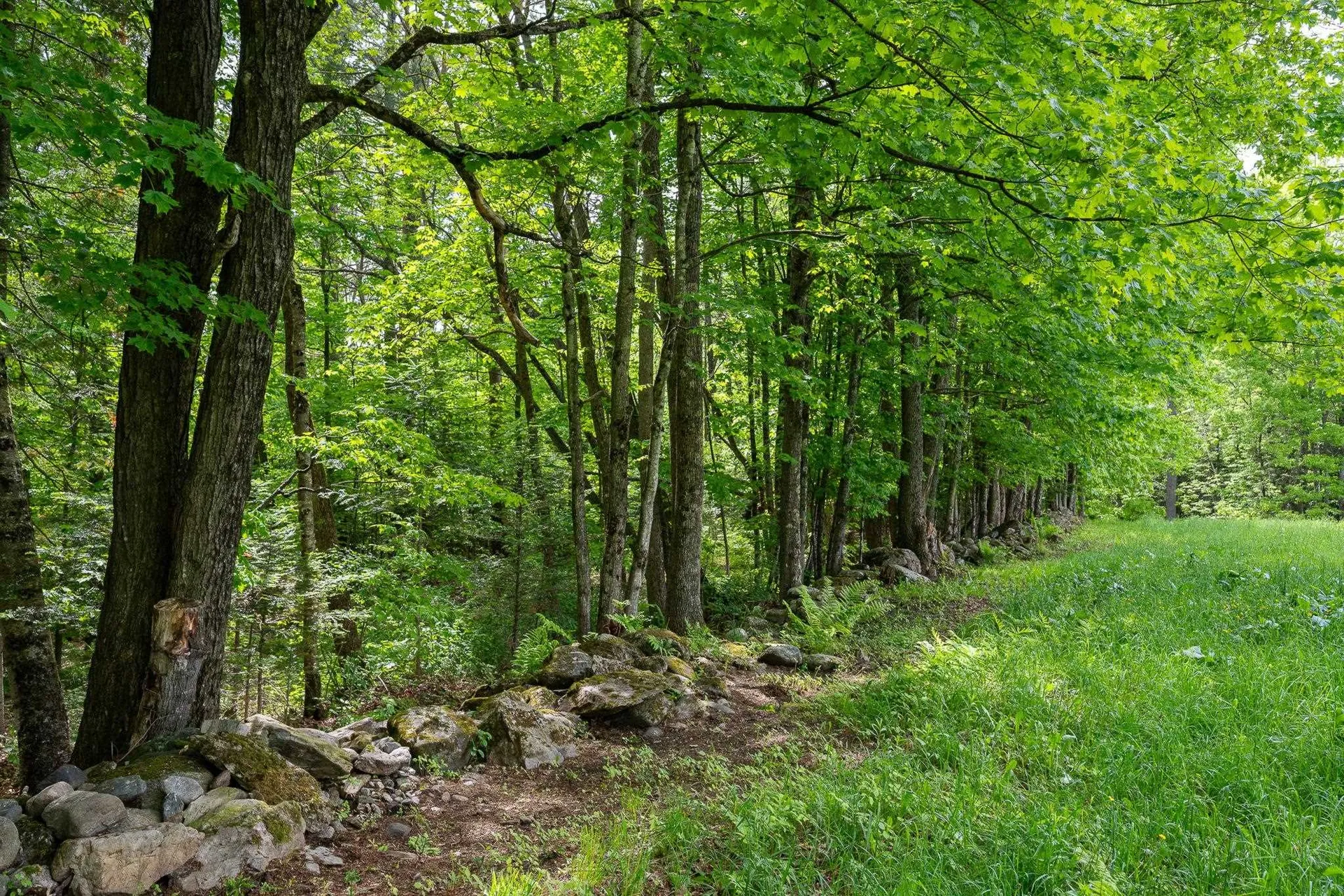 184 Culver Hill Road Middlesex VT 05602