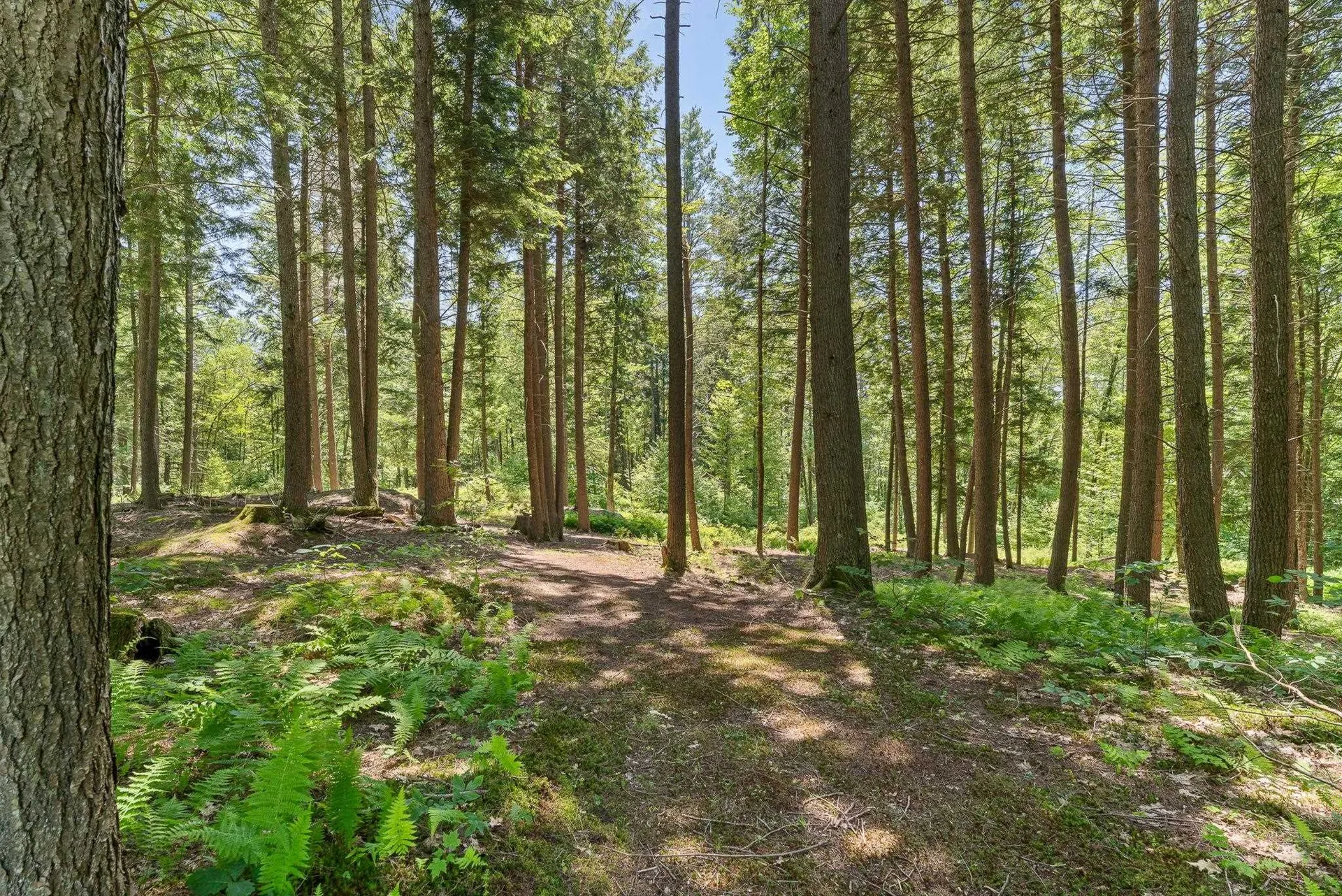 515 Shattuck Hill Road West Windsor VT 05037