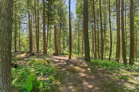 515 Shattuck Hill Road West Windsor VT 05037