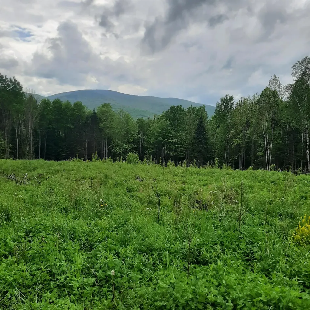 Lot 16 Oakes Road Columbia NH 03576
