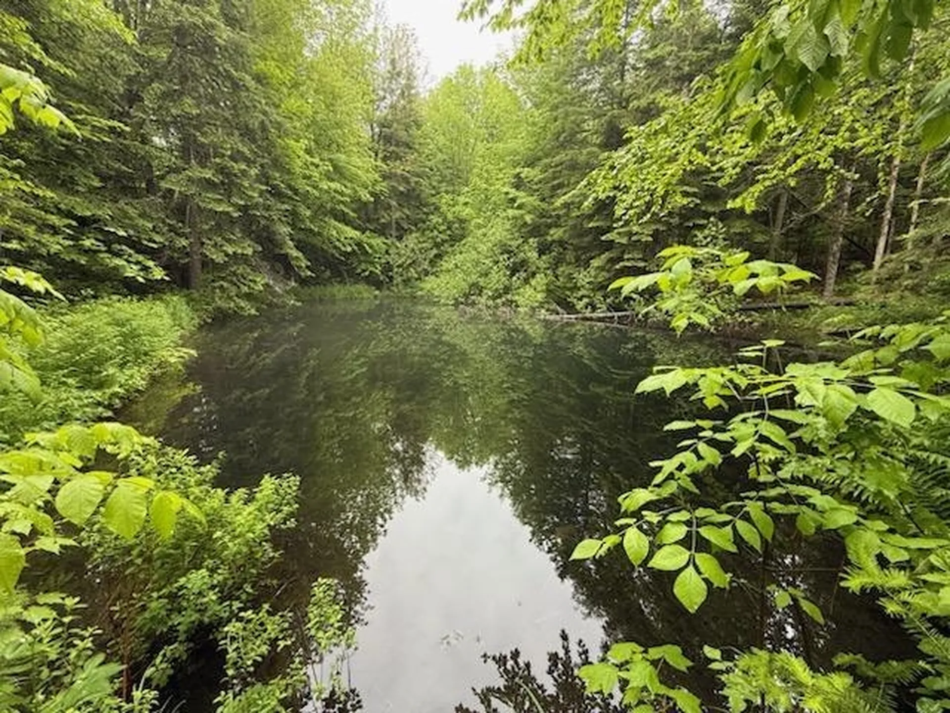 Lot 16 Oakes Road Columbia NH 03576