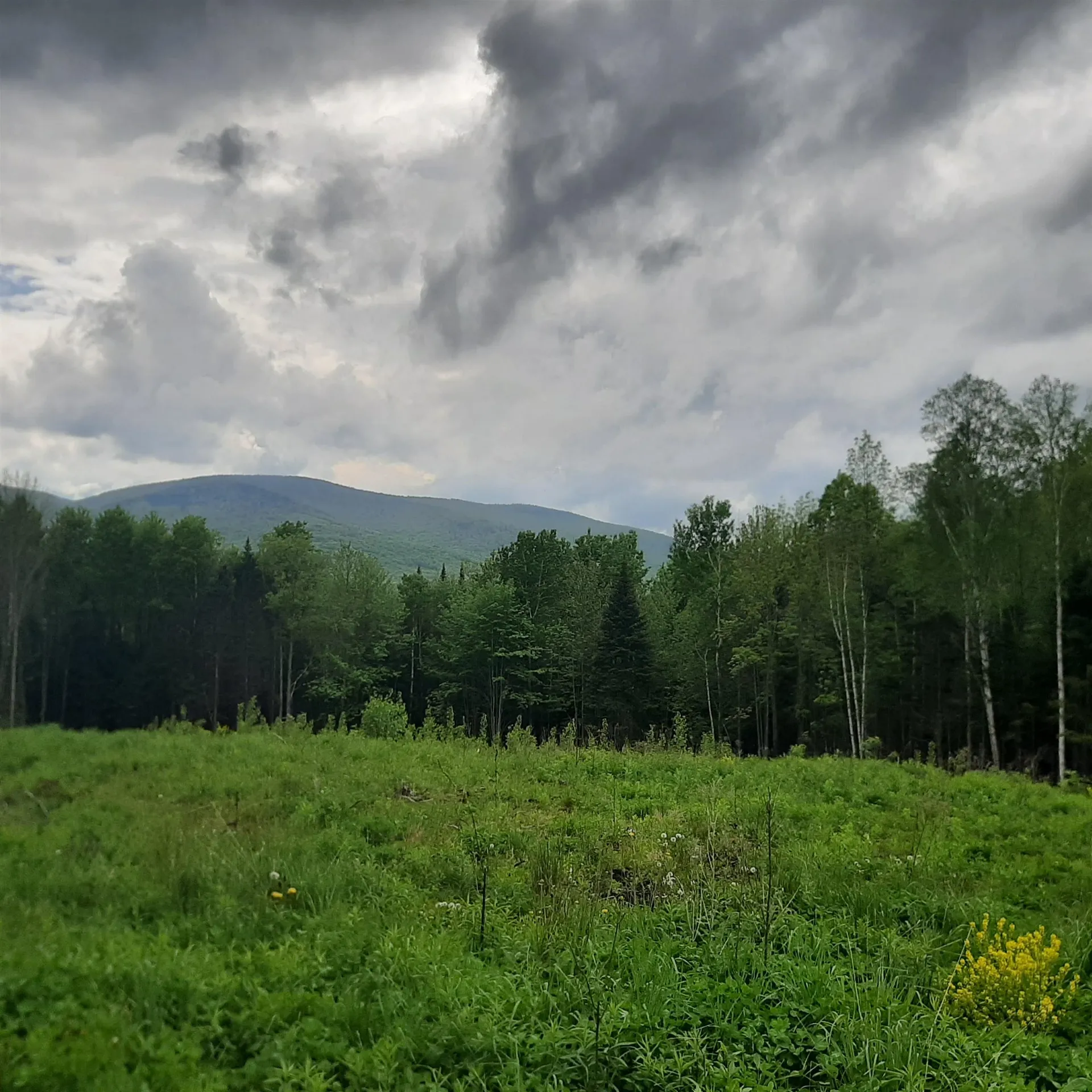 Lot 16 Oakes Road Columbia NH 03576