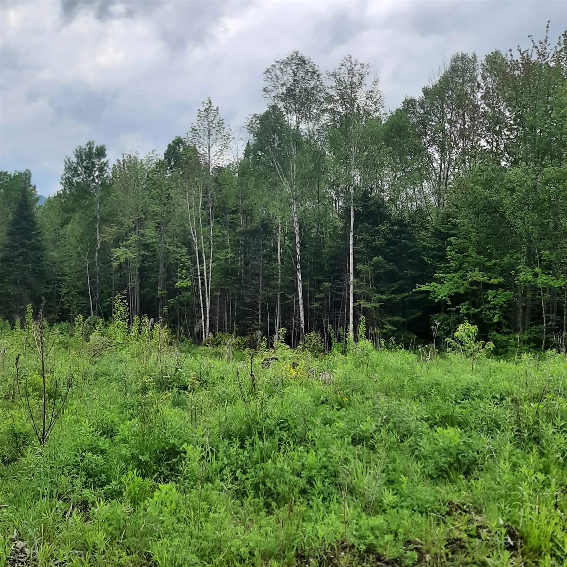 Lot 16 Oakes Road Columbia NH 03576
