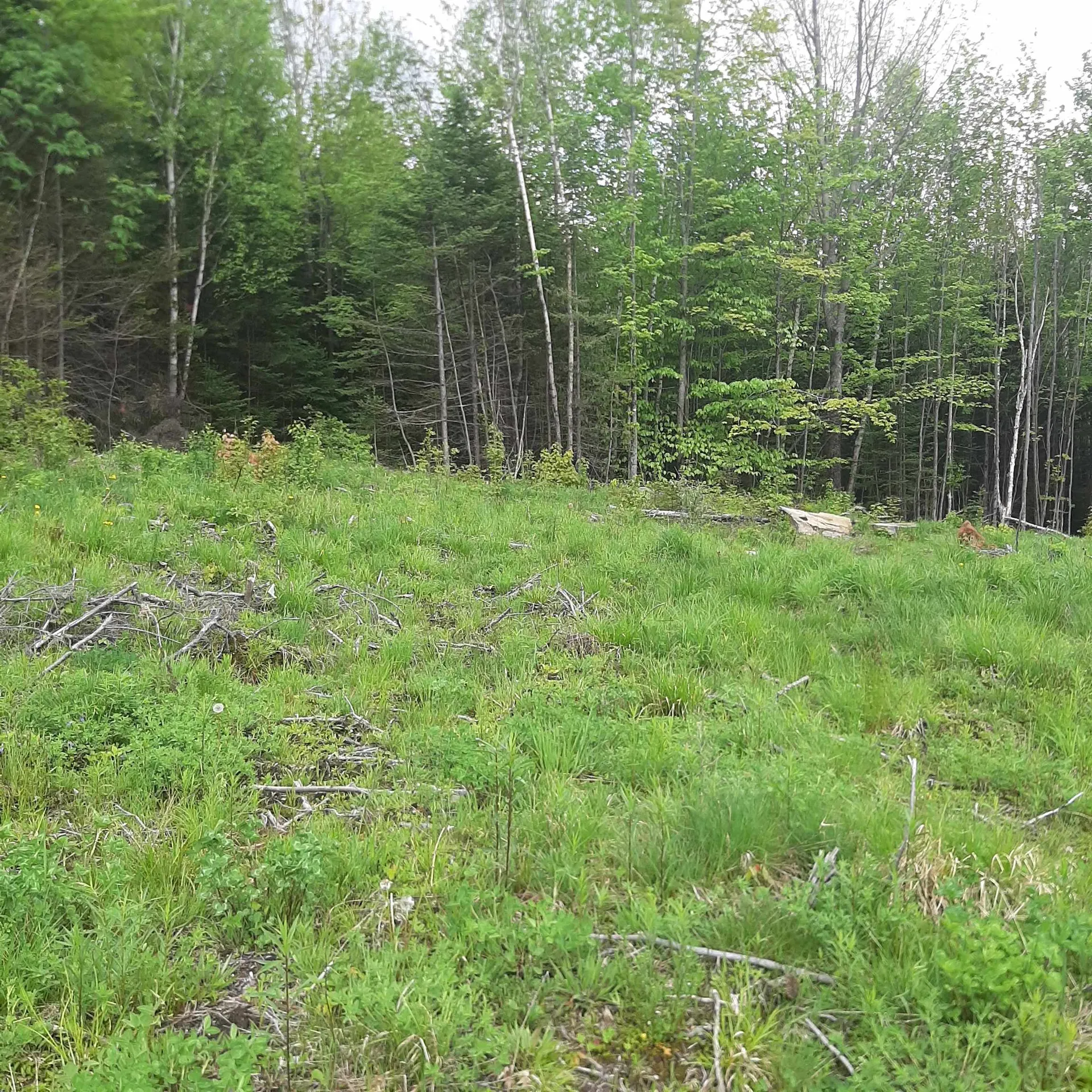 Lot 16 Oakes Road Columbia NH 03576