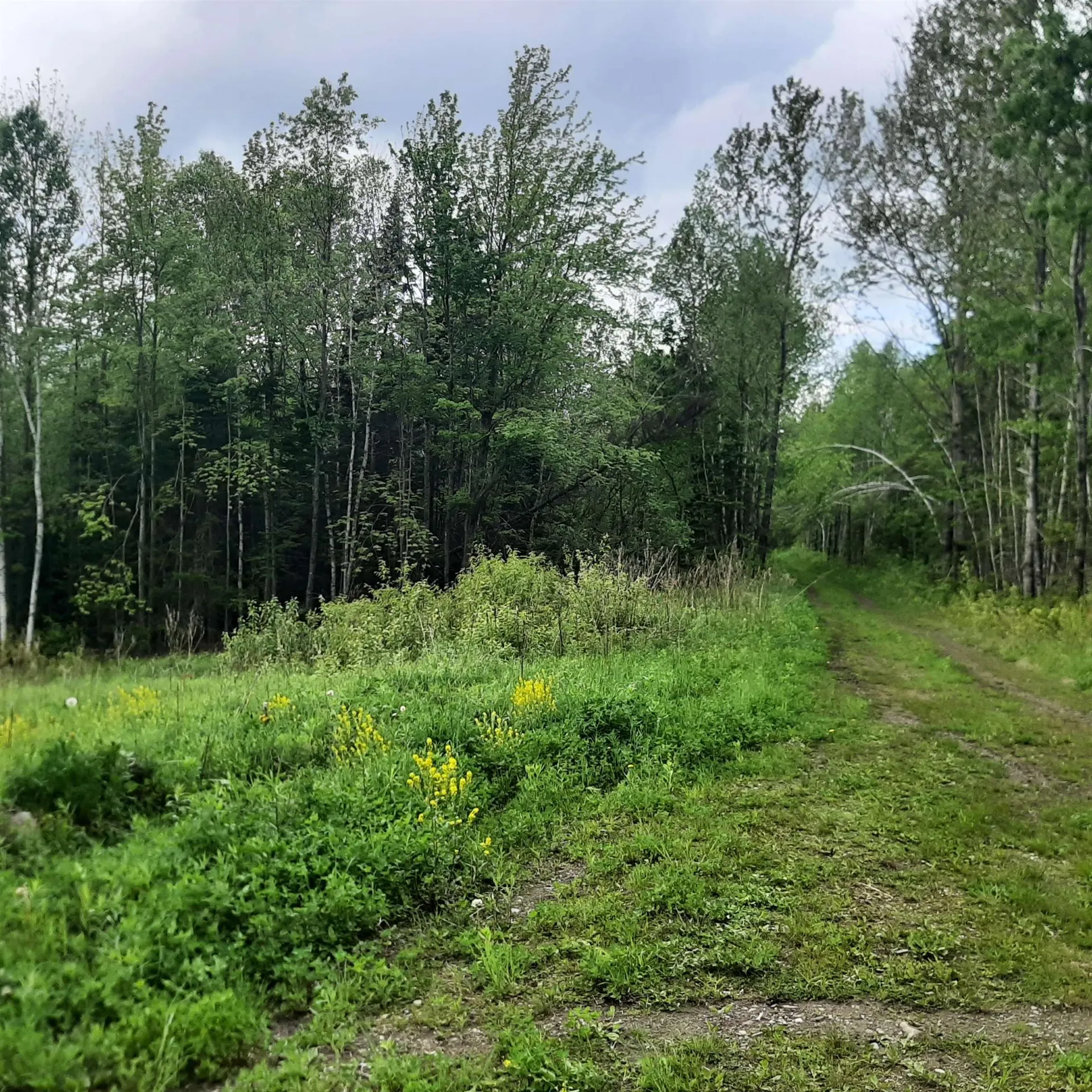 Lot 16 Oakes Road Columbia NH 03576