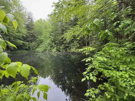 Lot 16 Oakes Road Columbia NH 03576