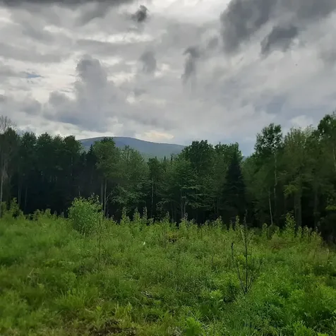 Lot 16 Oakes Road Columbia NH 03576