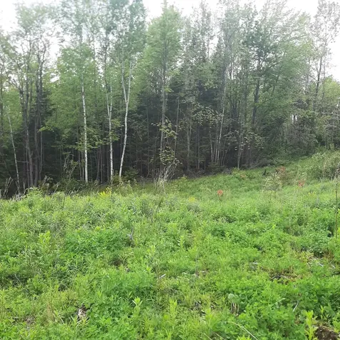 Lot 16 Oakes Road Columbia NH 03576