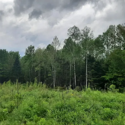 Lot 16 Oakes Road Columbia NH 03576