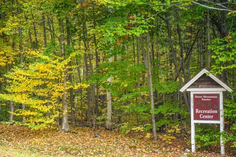 1375 Sheldon Hill Road Wardsboro VT 05355