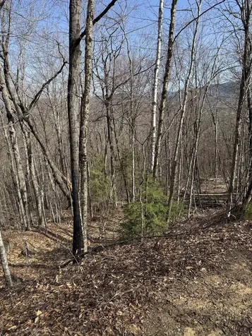 0 Summit Drive Campton NH 03223