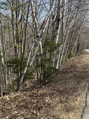 0 Summit Drive Campton NH 03223