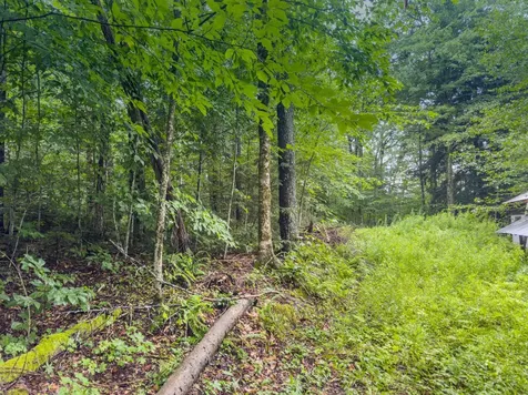 100 Dorr Fitch Road Dover VT 05356