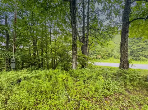 100 Dorr Fitch Road Dover VT 05356