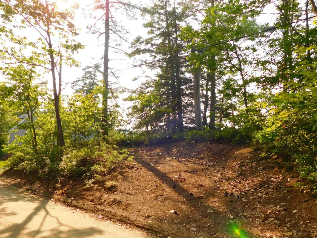 0 Pine Island Road Wakefield NH 03830