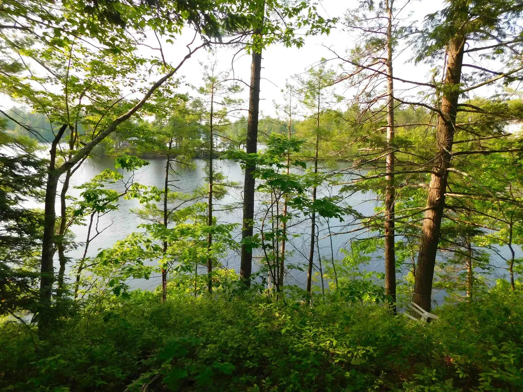 0 Pine Island Road Wakefield NH 03830