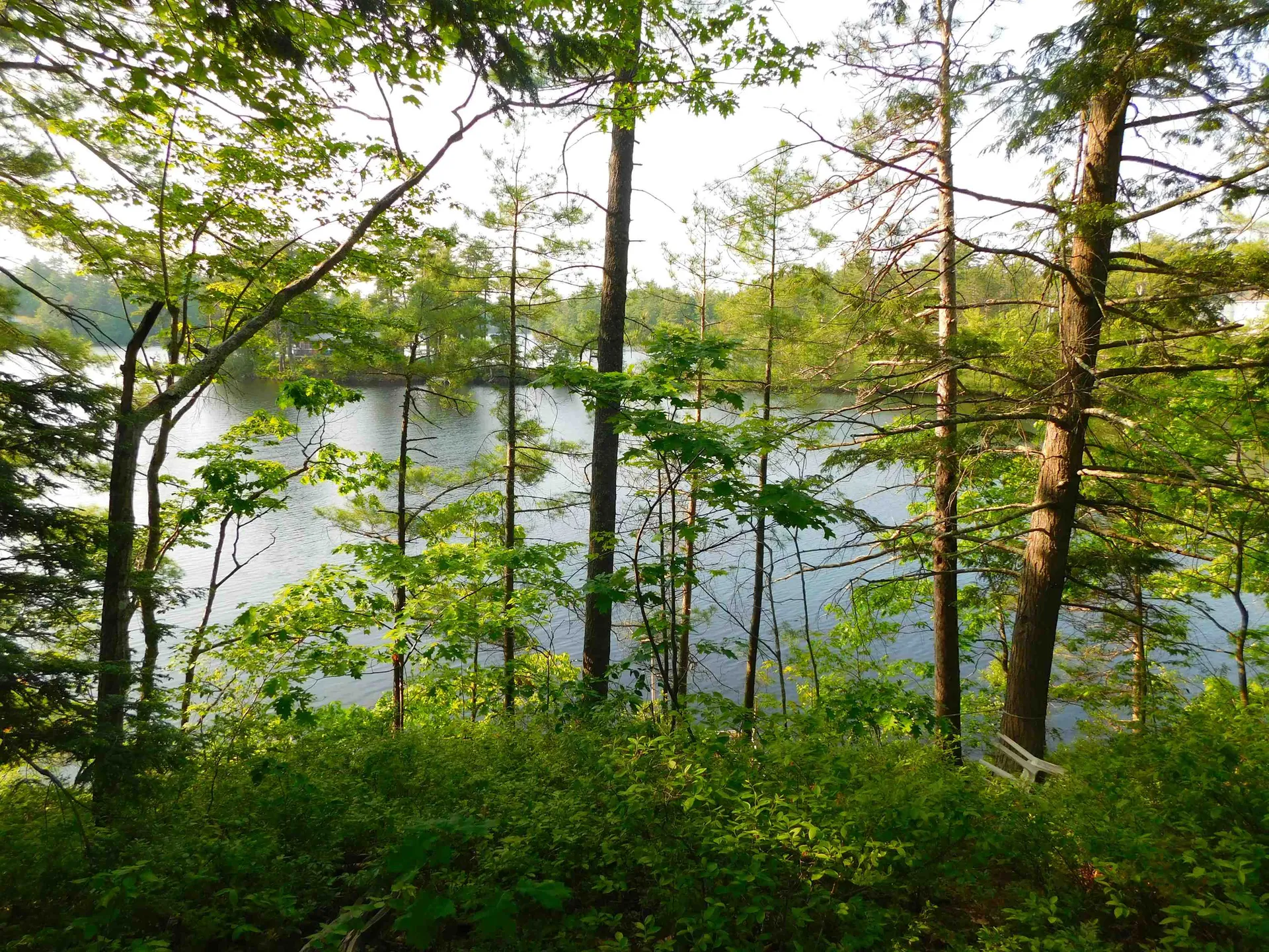 0 Pine Island Road Wakefield NH 03830