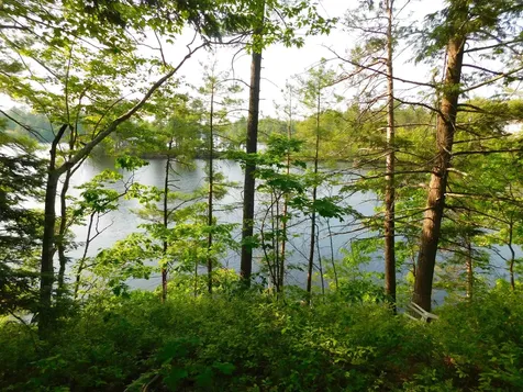 0 Pine Island Road Wakefield NH 03830