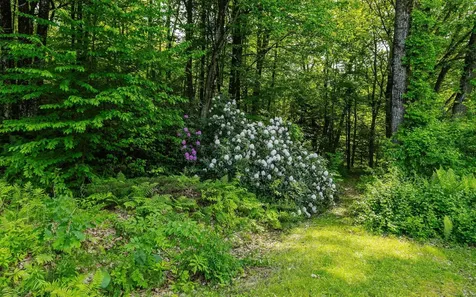 405 Lovers Lane Charlestown NH 03603