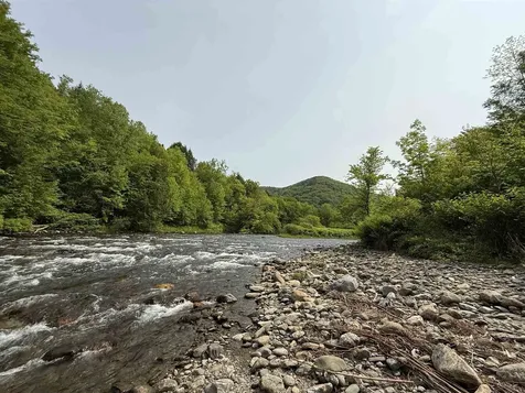 399 Twitchell Settlement Road Rochester VT 05060