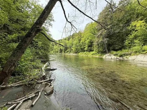 399 Twitchell Settlement Road Rochester VT 05060