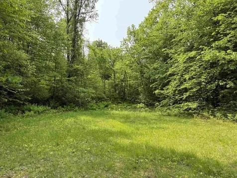 399 Twitchell Settlement Road Rochester VT 05060