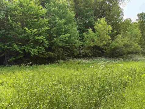 399 Twitchell Settlement Road Rochester VT 05060