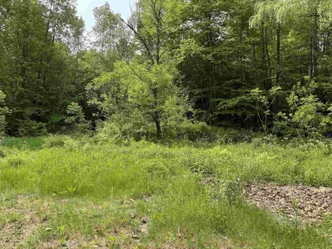 399 Twitchell Settlement Road Rochester VT 05060