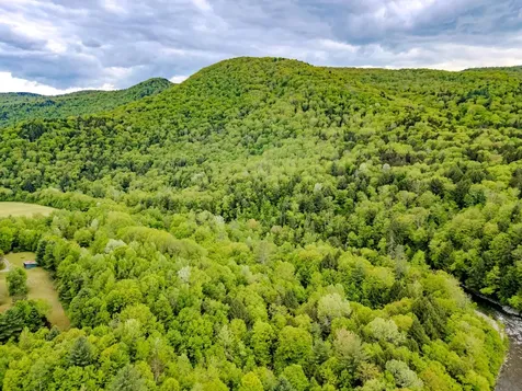 399 Twitchell Settlement Road Rochester VT 05060