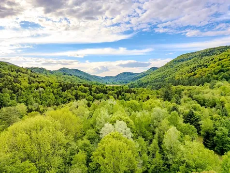 399 Twitchell Settlement Road Rochester VT 05060