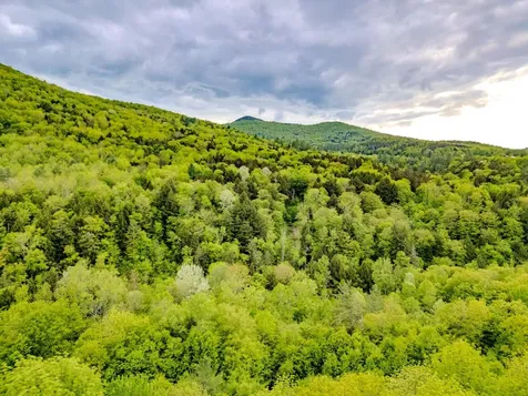 399 Twitchell Settlement Road Rochester VT 05060