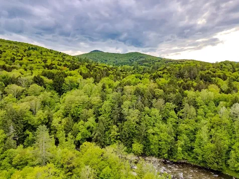 399 Twitchell Settlement Road Rochester VT 05060