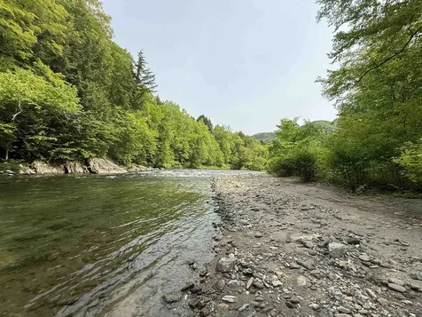 399 Twitchell Settlement Road Rochester VT 05060