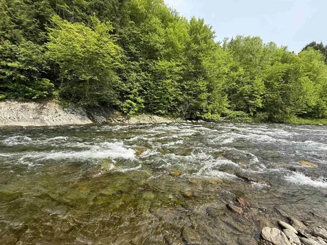 399 Twitchell Settlement Road Rochester VT 05060