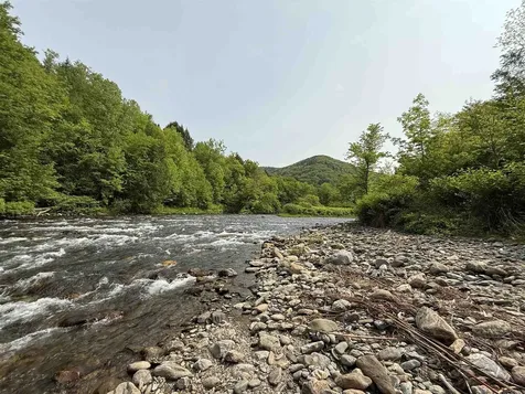 399 Twitchell Settlement Road Rochester VT 05060