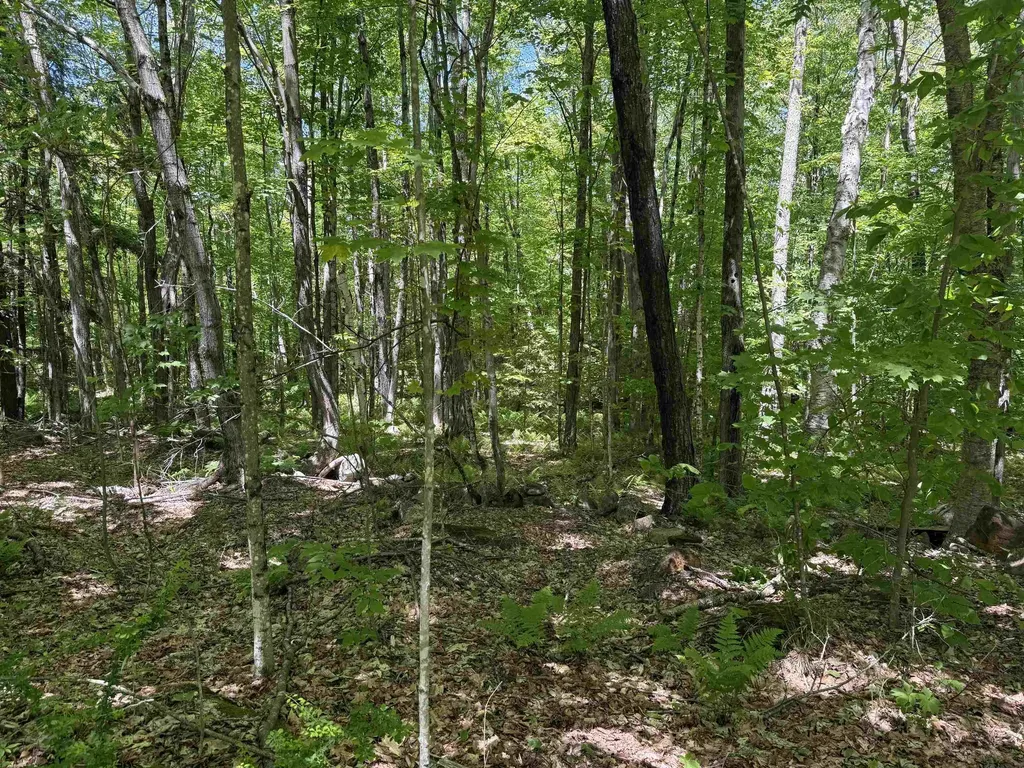 Map 5 Lot 14-3 Stockbridge Corner Road Alton NH 03809