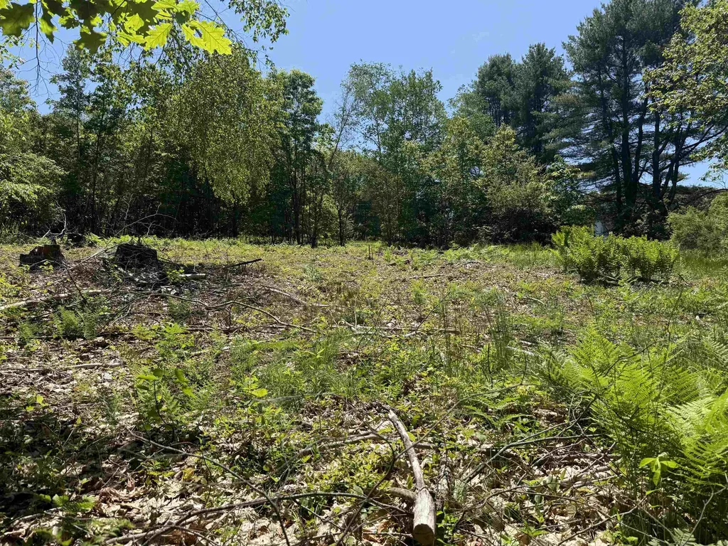 Map 5 Lot 14-3 Stockbridge Corner Road Alton NH 03809