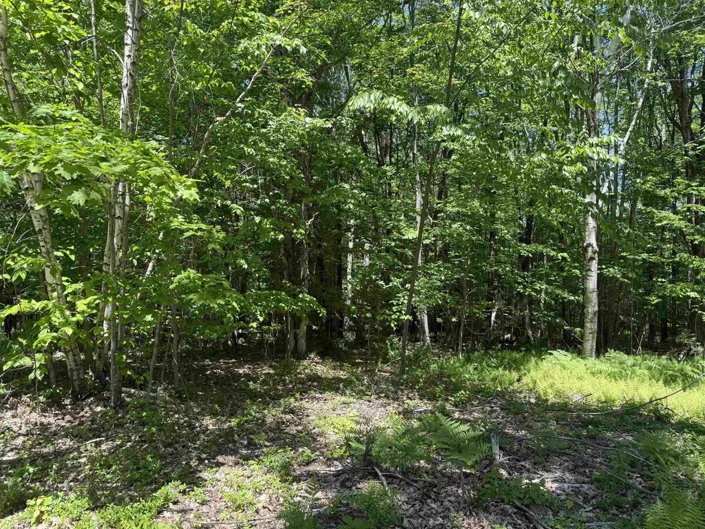 Map 5 Lot 14-3 Stockbridge Corner Road Alton NH 03809