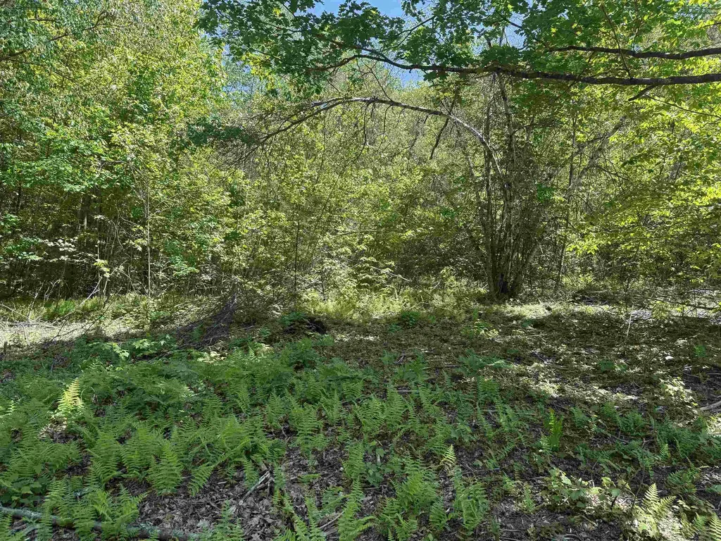 Map 5 Lot 14-3 Stockbridge Corner Road Alton NH 03809