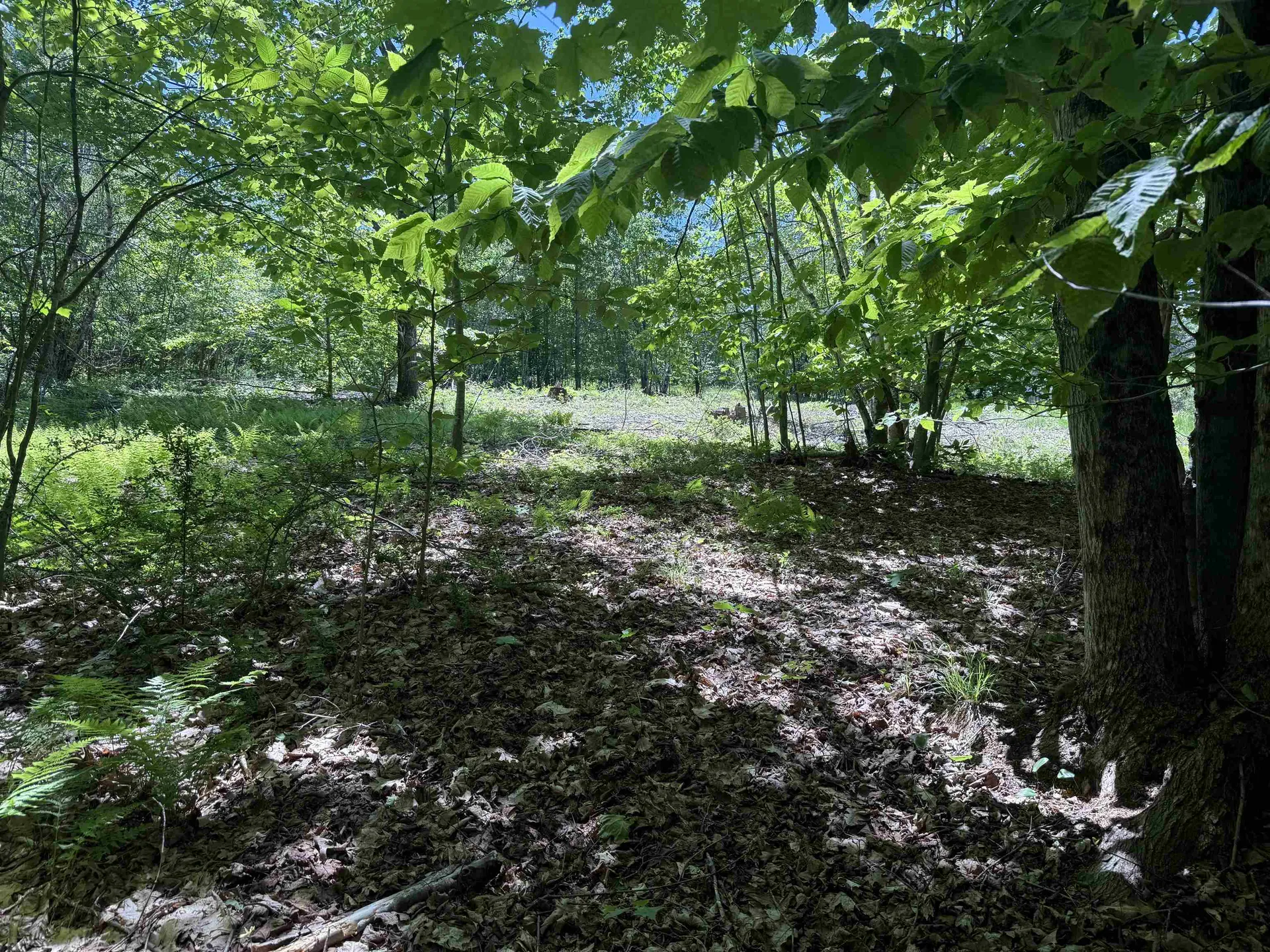 Map 5 Lot 14-3 Stockbridge Corner Road Alton NH 03809