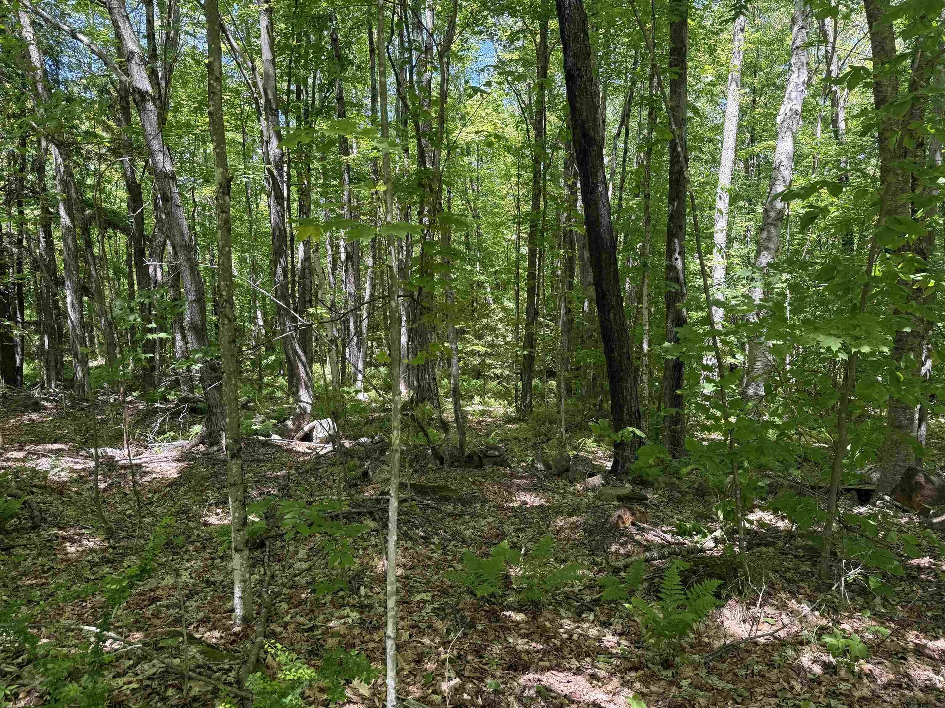 Map 5 Lot 14-3 Stockbridge Corner Road Alton NH 03809